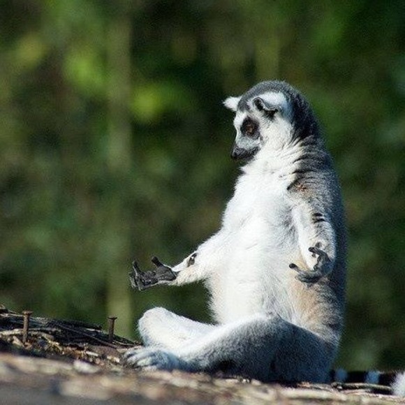 Meet your Posher, Victoria - Picture 1 of 1